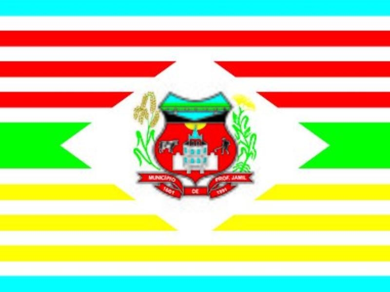 Professor Jamil - GO